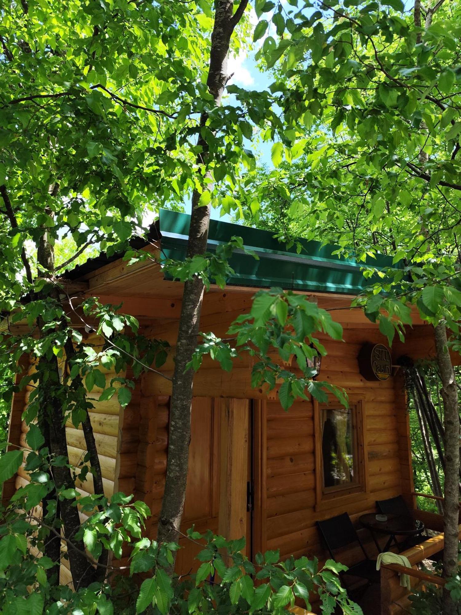 Still Cabin Cetinje Kültér fotó